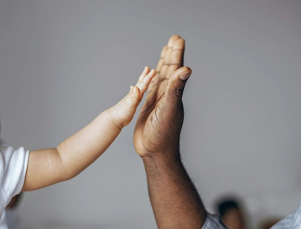 Nossa Atuação Mertins e Motta